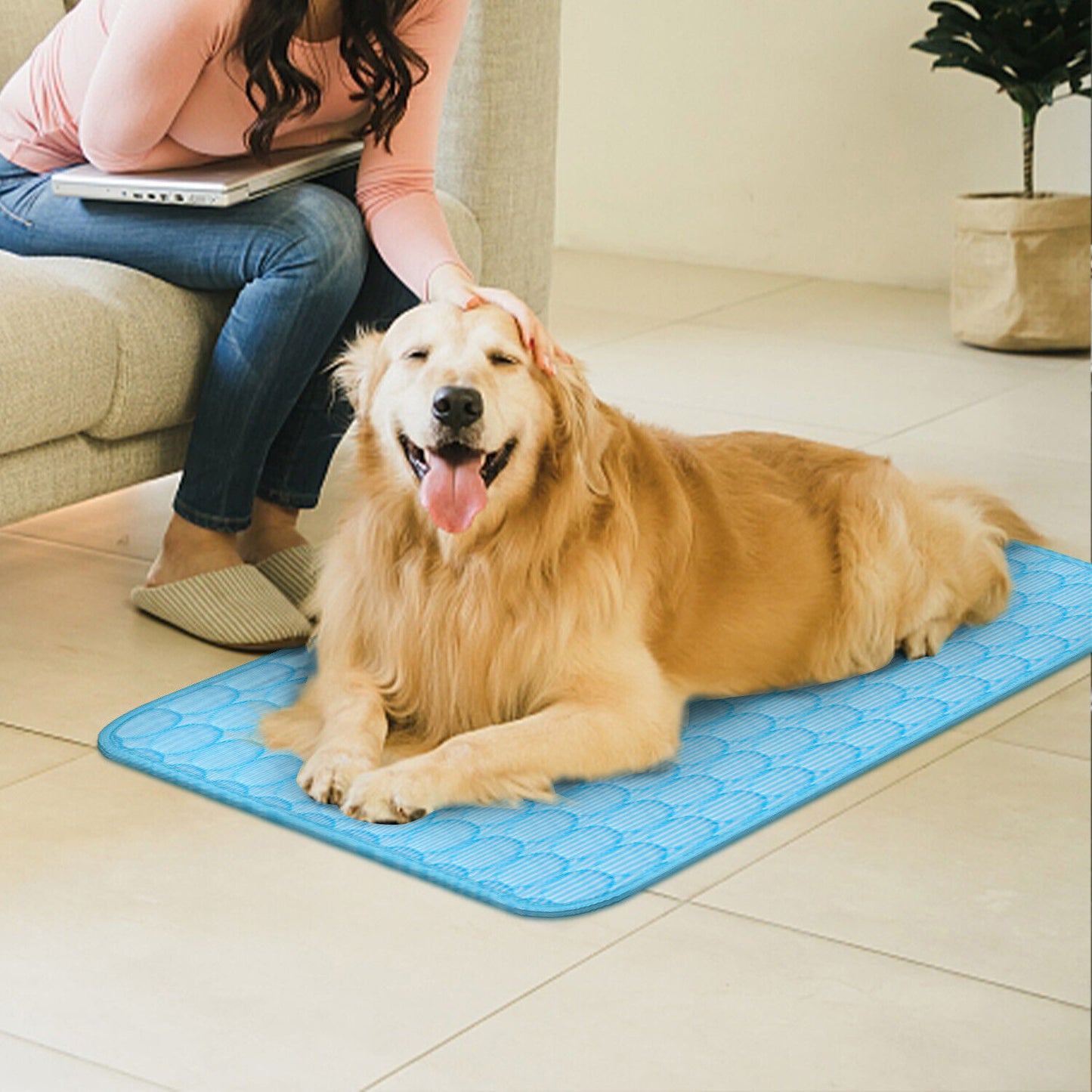 Tapete regulador de Temperatura para Perro y gato